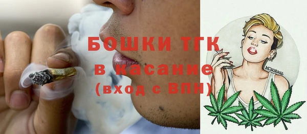 шишки Баксан